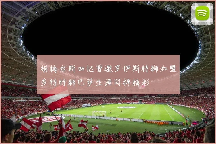 胡梅尔斯回忆曾邀罗伊斯特狮加盟多特特狮巴萨生涯同样精彩