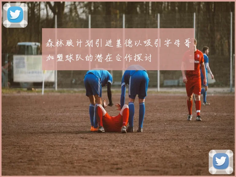 森林狼计划引进基德以吸引字母哥加盟球队的潜在合作探讨